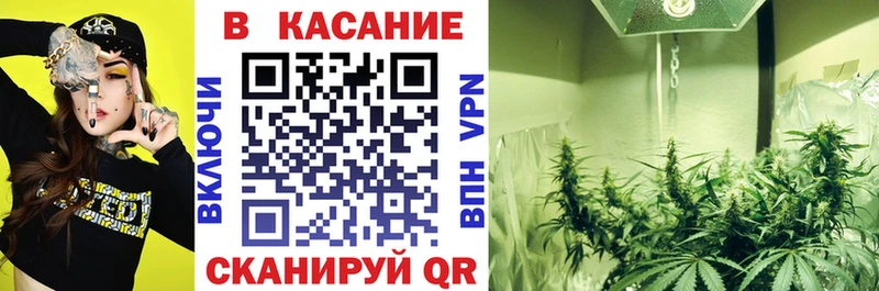 Купить закладку Конопля  Меф мяу мяу  ГАШ  Плавск