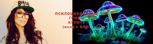 не бодяженный Горно-Алтайск