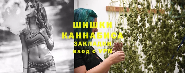 не бодяженный Горно-Алтайск