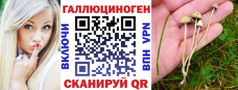Галлюциногенные грибы Psilocybe Купить Плавск